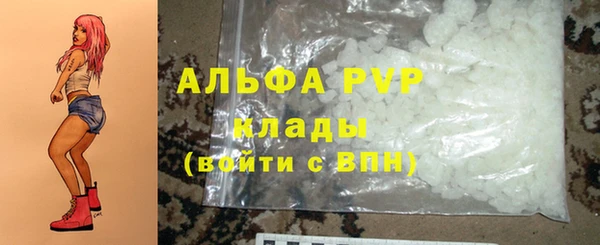 ешки Новозыбков