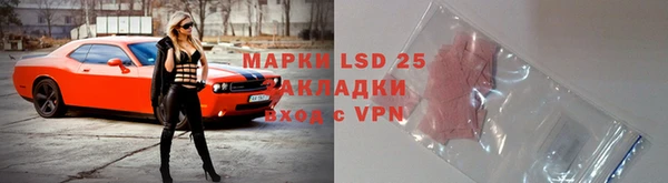 ешки Новозыбков