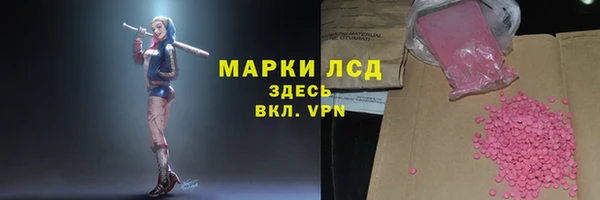 ешки Новозыбков