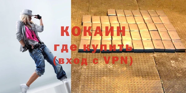ешки Новозыбков