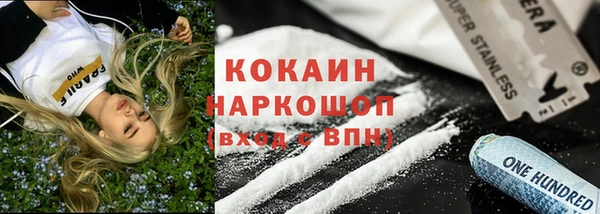 ешки Новозыбков