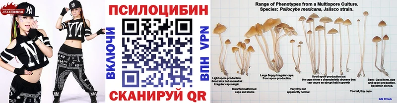 Галлюциногенные грибы MAGIC MUSHROOMS  hydra как войти  Костомукша  где можно купить  