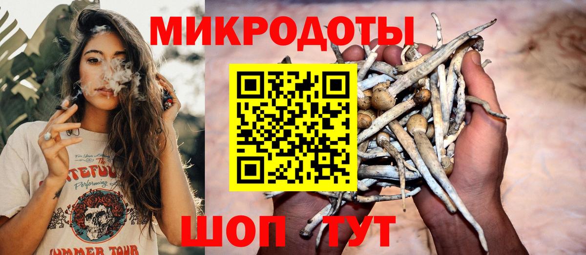 Галлюциногенные грибы Psilocybe  Псилоцибиновые грибы GOLDEN TEACHER  Вход с VPN  где найти наркотики  Костомукша 
